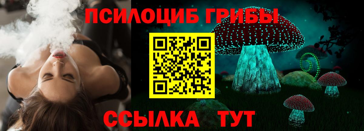 Ачхой-Мартан  Галлюциногенные грибы Magic Shrooms  Вход с VPN 