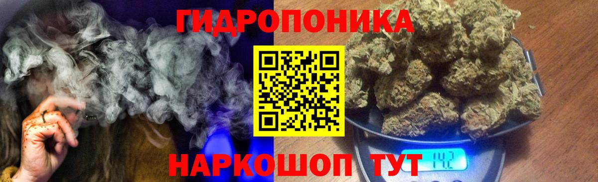 Канабис Ачхой-Мартан