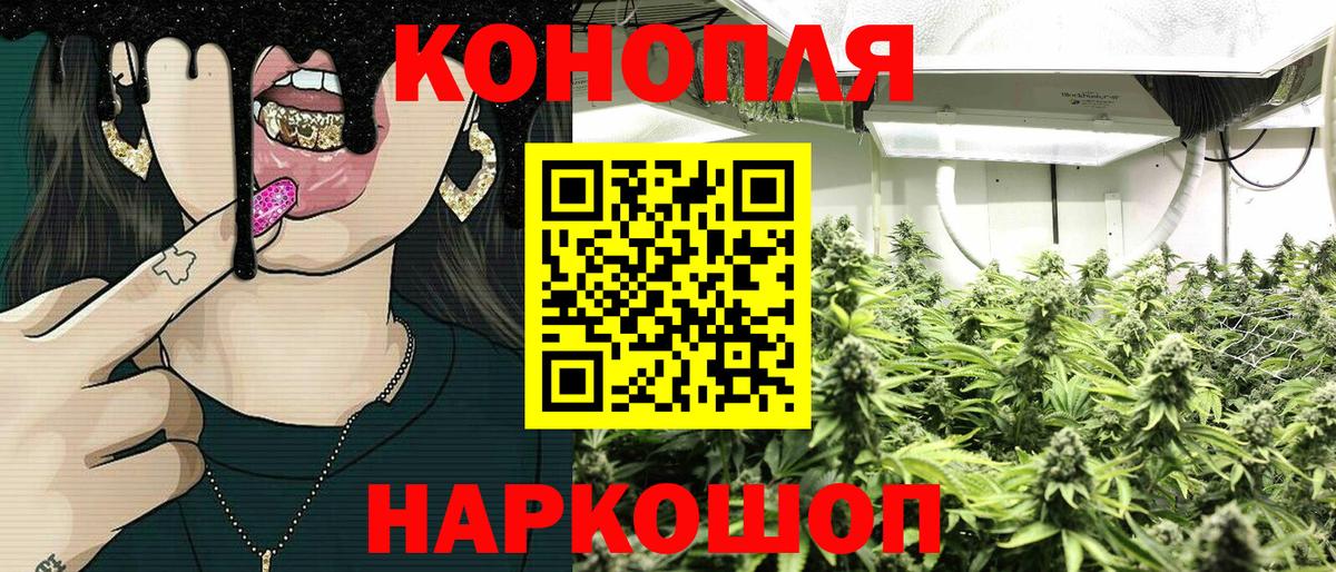 Канабис планчик Ачхой-Мартан